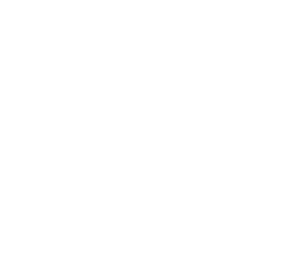 DOUBY AUDIO